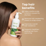 Otrix Green Tea Conditioner for Strengthening & Healthy Hair | Nourishes Scalp, Reduces Hair Fall | 300ml
