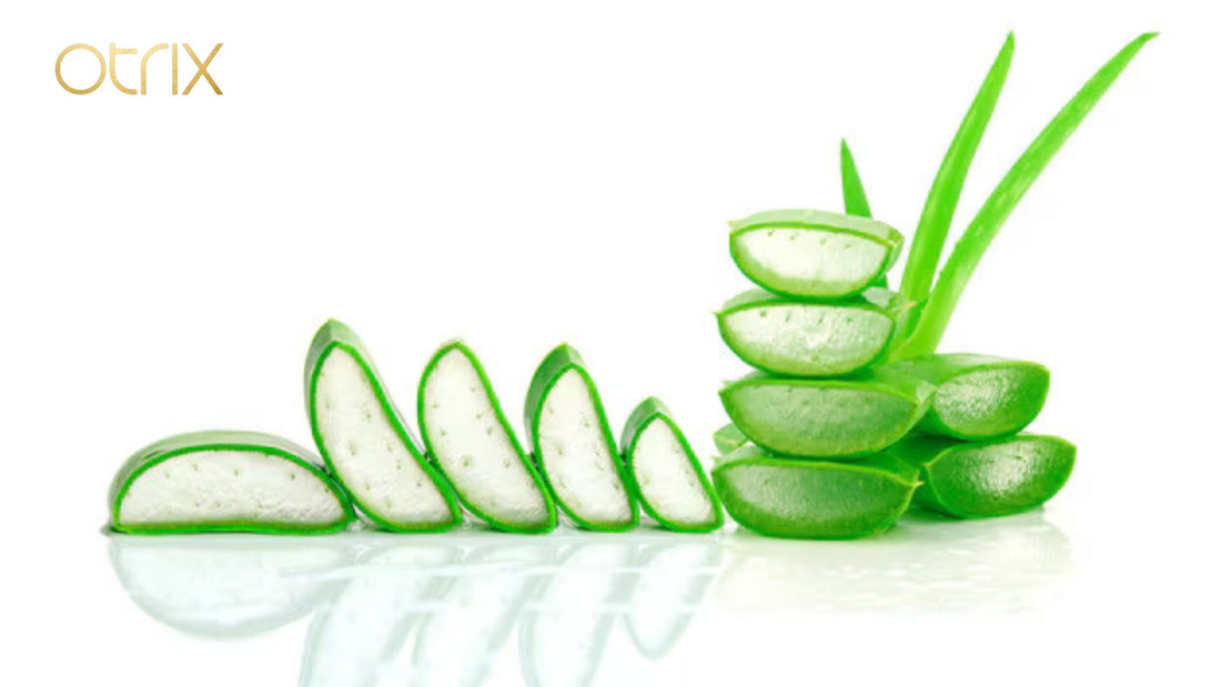 Aloe Vera for Skin: Nature’s Timeless Remedy for Radiant Glow
