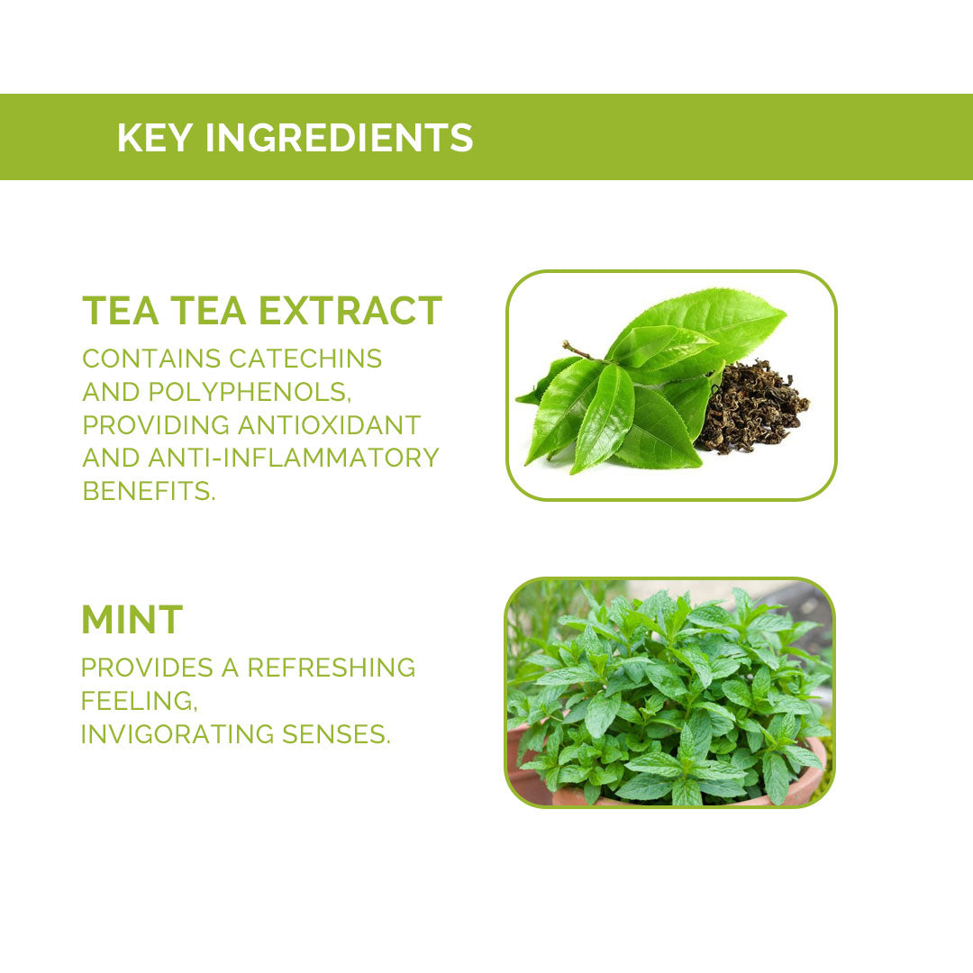 Tea Tree & Mint Refreshing Body Wash – 290 ml