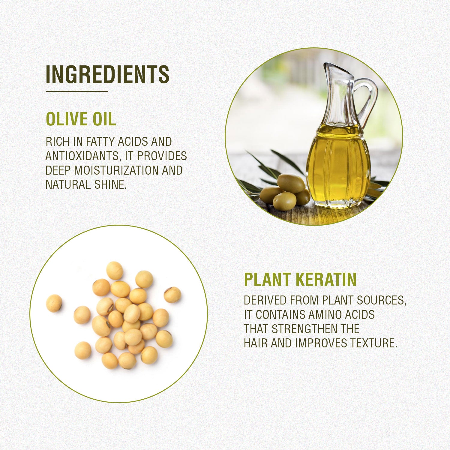 otrix olive and plant keratin conditioner 