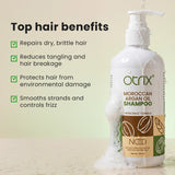 Otrix Moroccan Argan Oil Shampoo for Silky, Stronger & Nourished Hair | Deep Moisture & Shine | 300ml