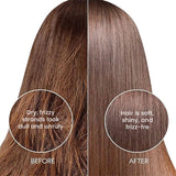 Otrix Moroccan Argan Oil Shampoo for Silky, Stronger & Nourished Hair | Deep Moisture & Shine | 300ml