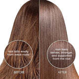 Otrix Red Onion & Black Seed Shampoo for Hair Fall Control | Strengthens Roots, Reduces Breakage & Boosts Growth | 300ml